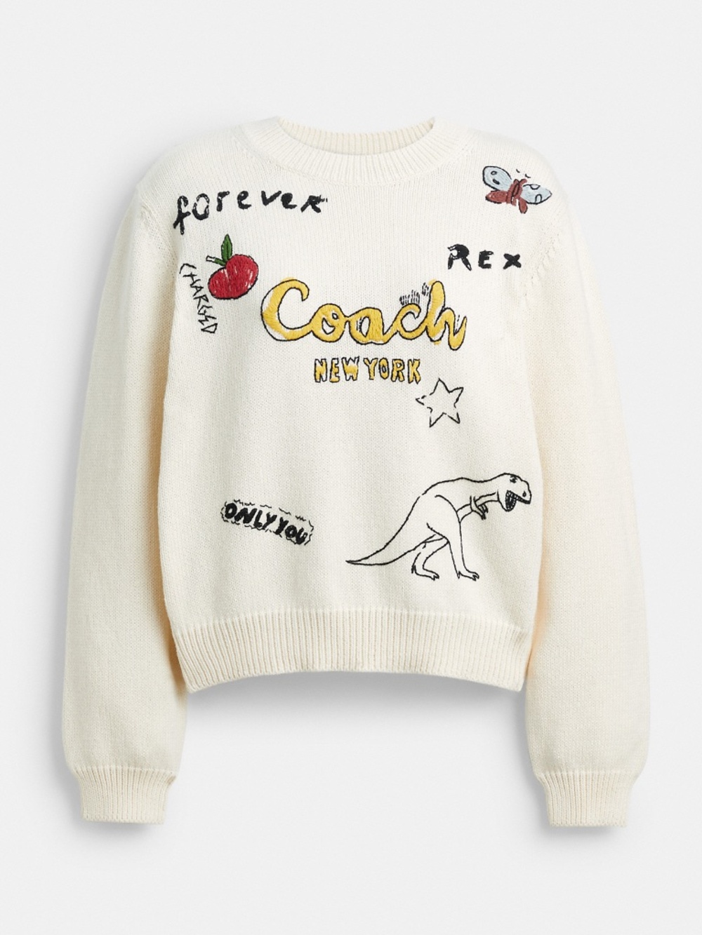 Coach Sketch Print Crewneck Sweater In Organic Cotton NYC - CZ735